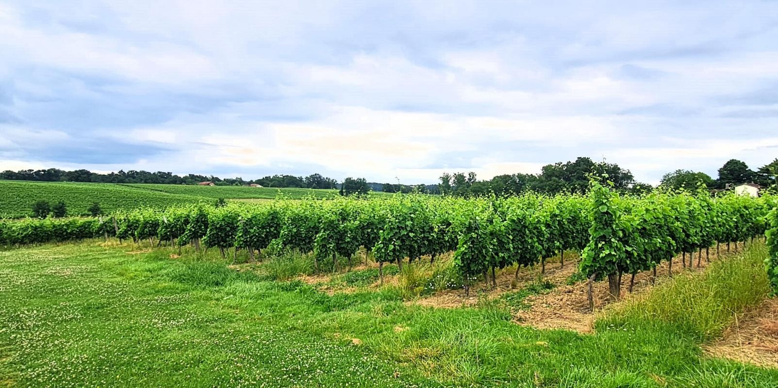 Vente Maison à Nogaro 7 pièces