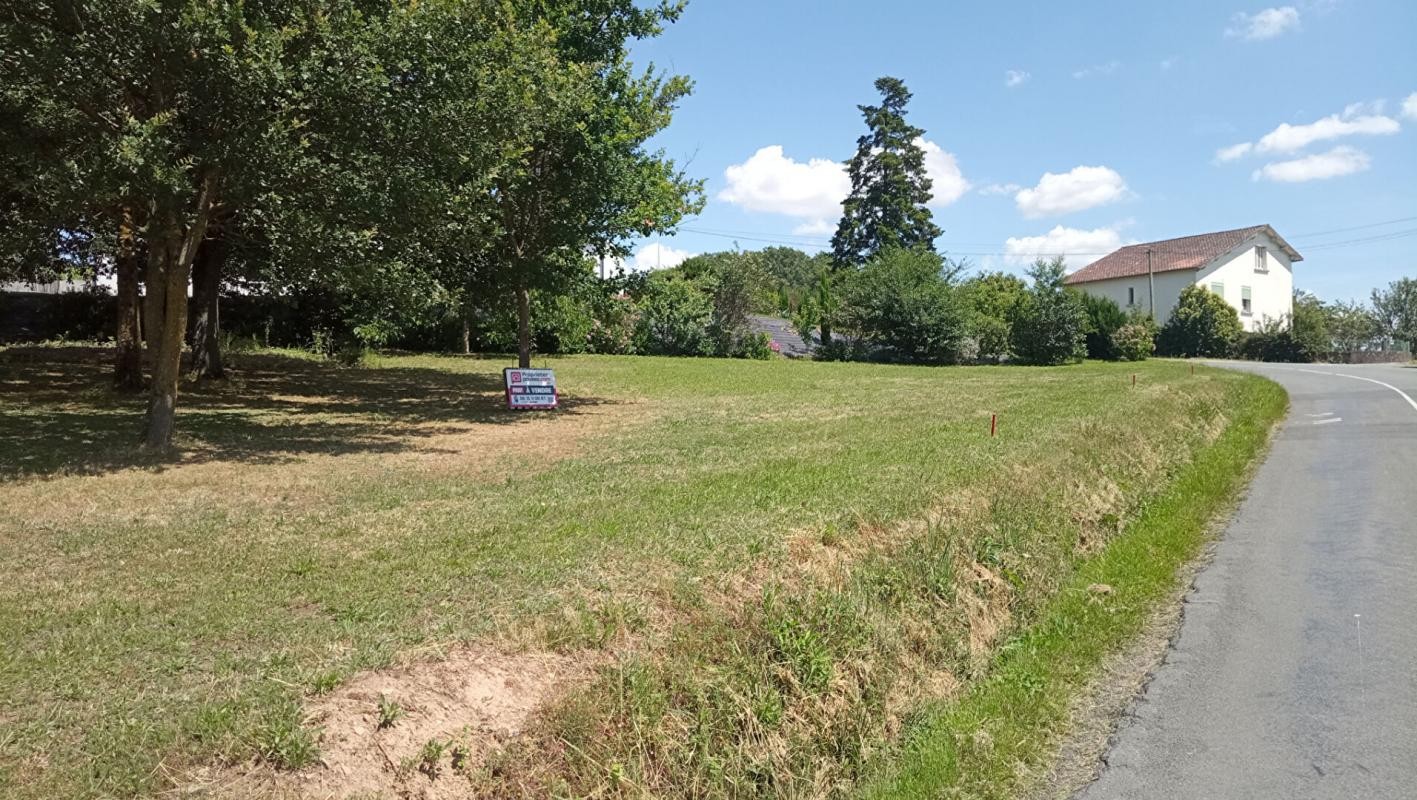 Vente Terrain à Albi 0 pièce