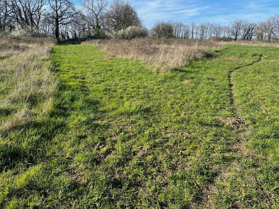 Vente Maison à Mézières-en-Brenne 7 pièces