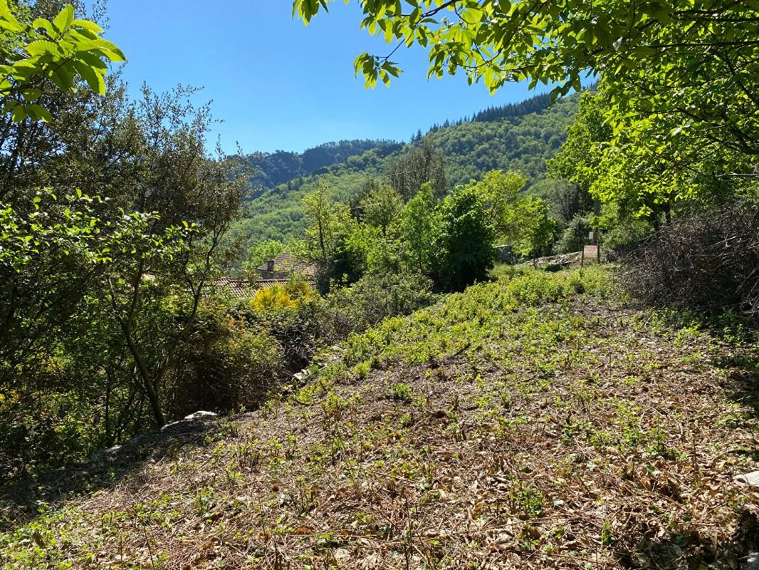 Vente Terrain à le Collet-de-Dèze 0 pièce