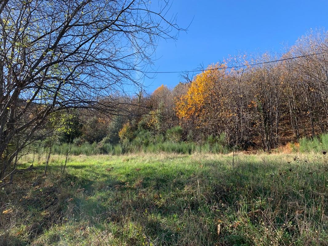 Vente Terrain à le Collet-de-Dèze 0 pièce