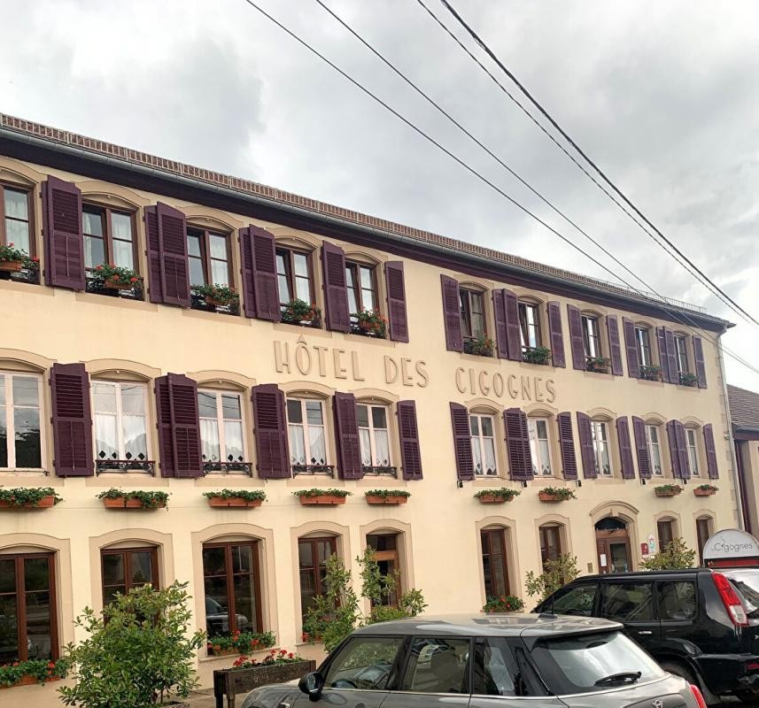 Vente Maison à Sarrebourg 30 pièces