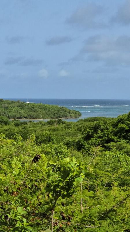 Vente Terrain à Sainte-Anne 0 pièce