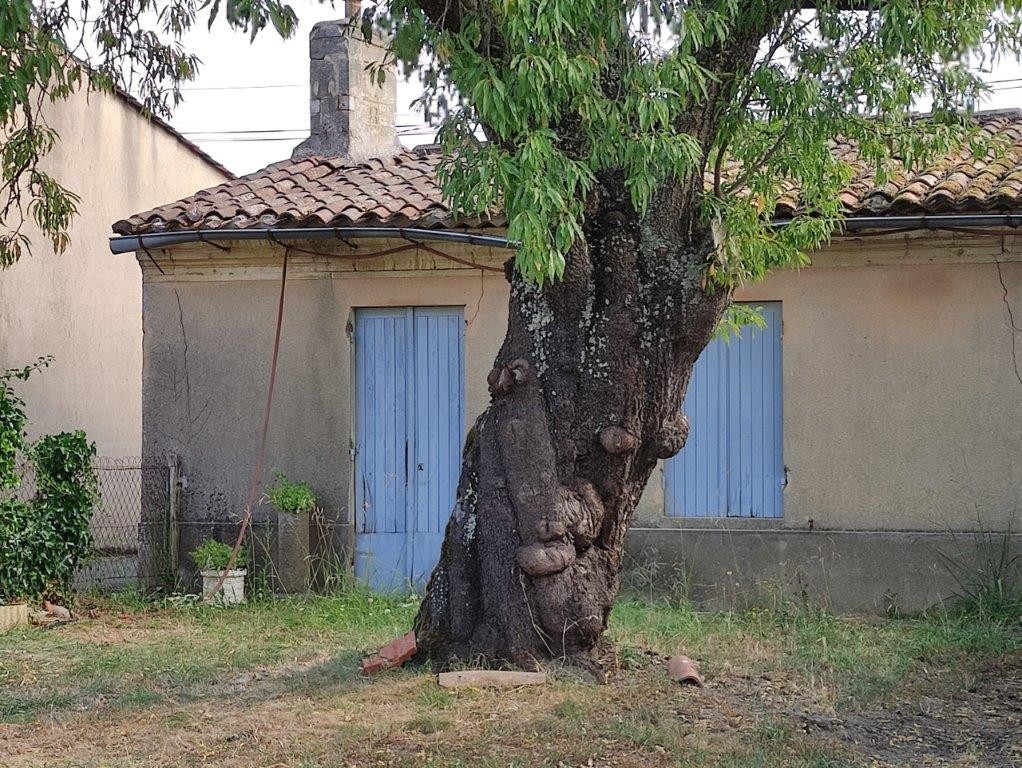 Vente Maison à Bourg 5 pièces