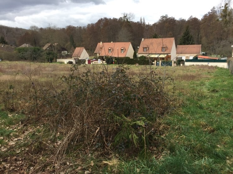 Vente Terrain à Droue-sur-Drouette 0 pièce