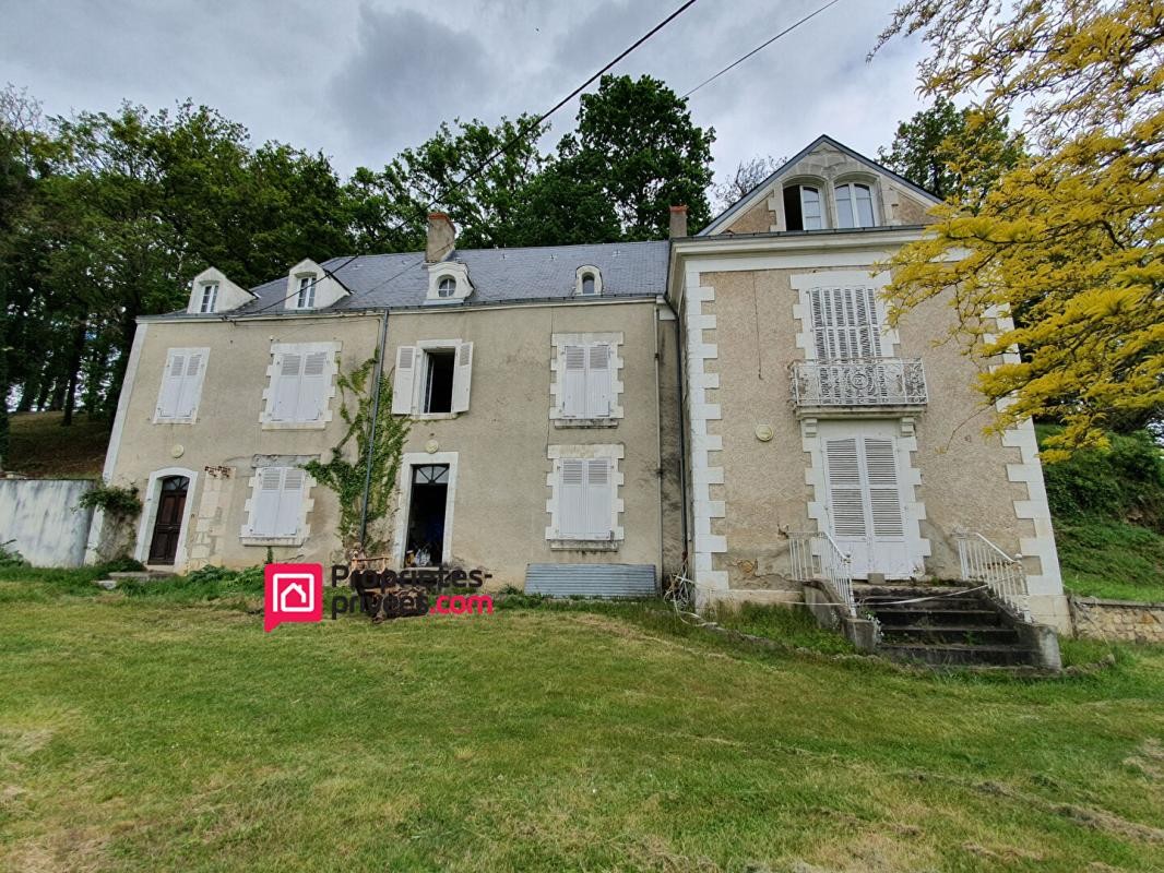 Vente Maison à Argenton-sur-Creuse 20 pièces