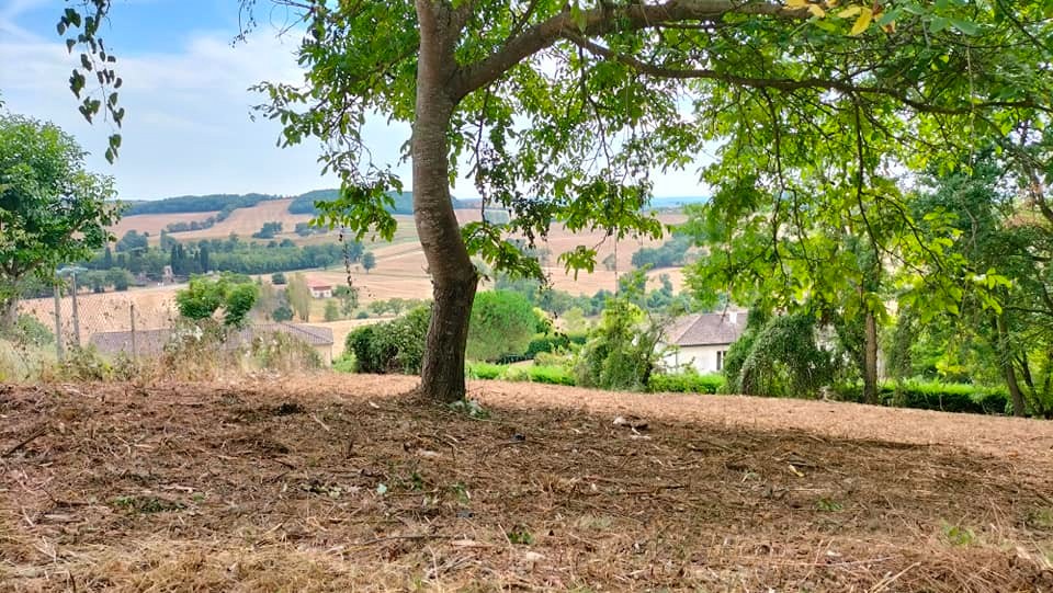 Vente Terrain à Puycasquier 0 pièce