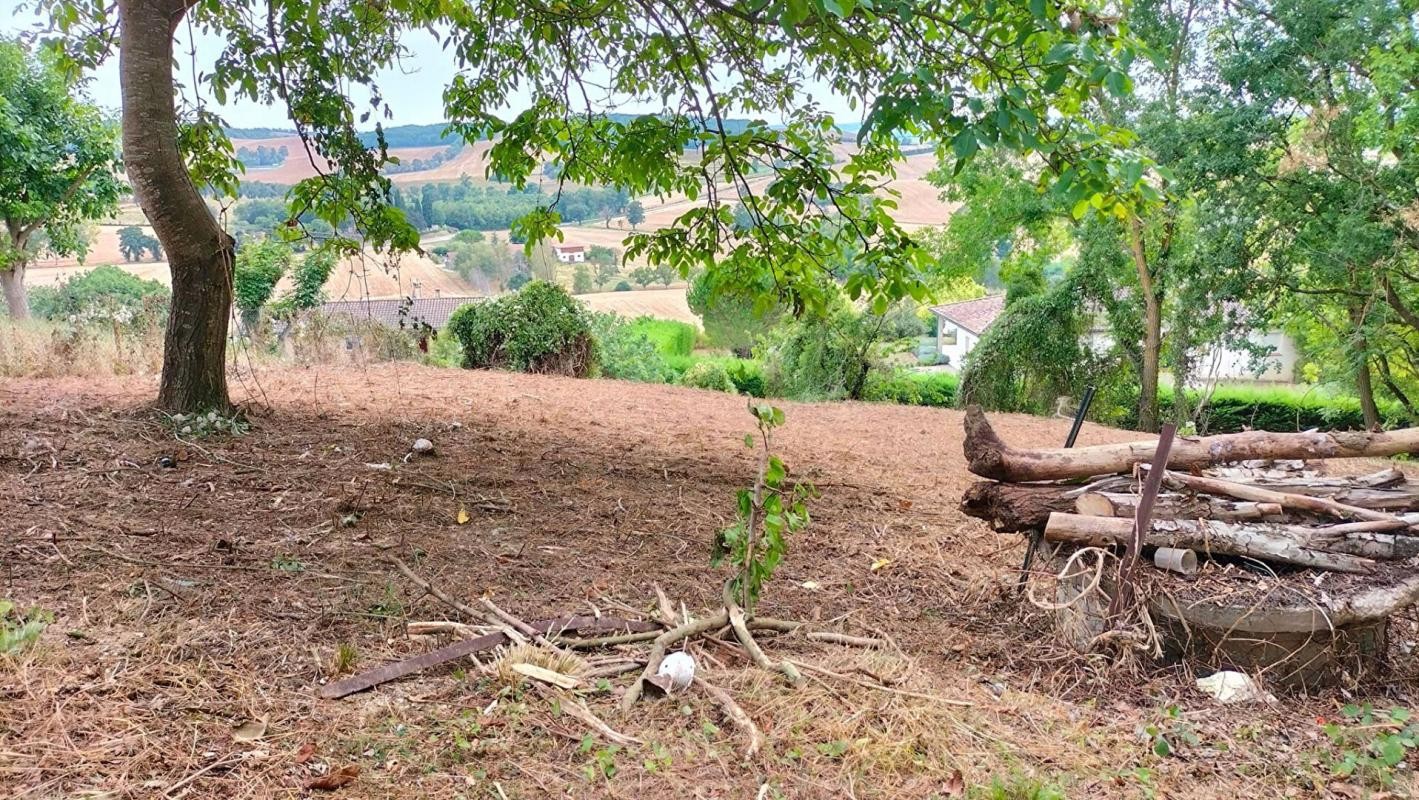 Vente Terrain à Puycasquier 0 pièce