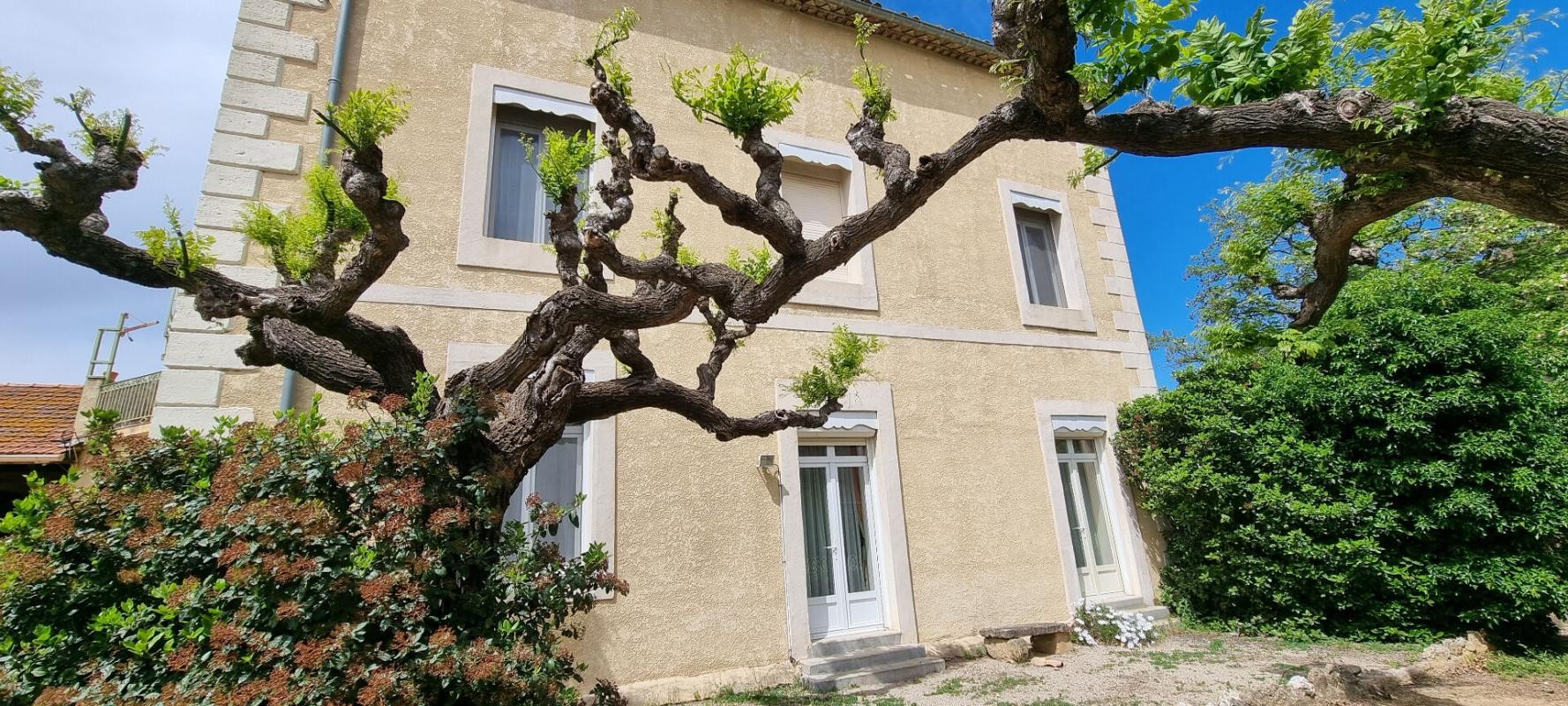 Vente Maison à Pézenas 7 pièces