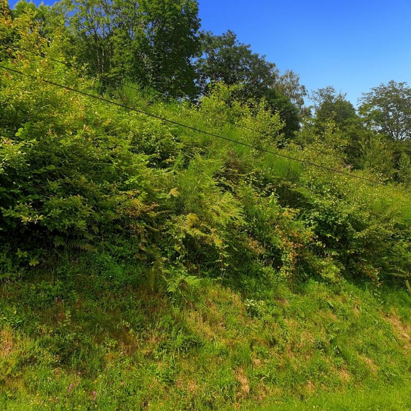 Vente Terrain à Fellering 0 pièce