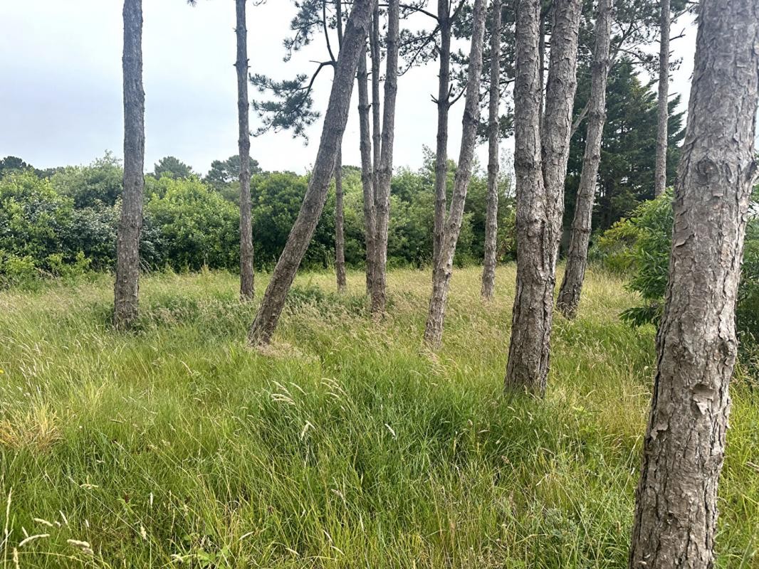 Vente Terrain à Noirmoutier-en-l'Île 0 pièce