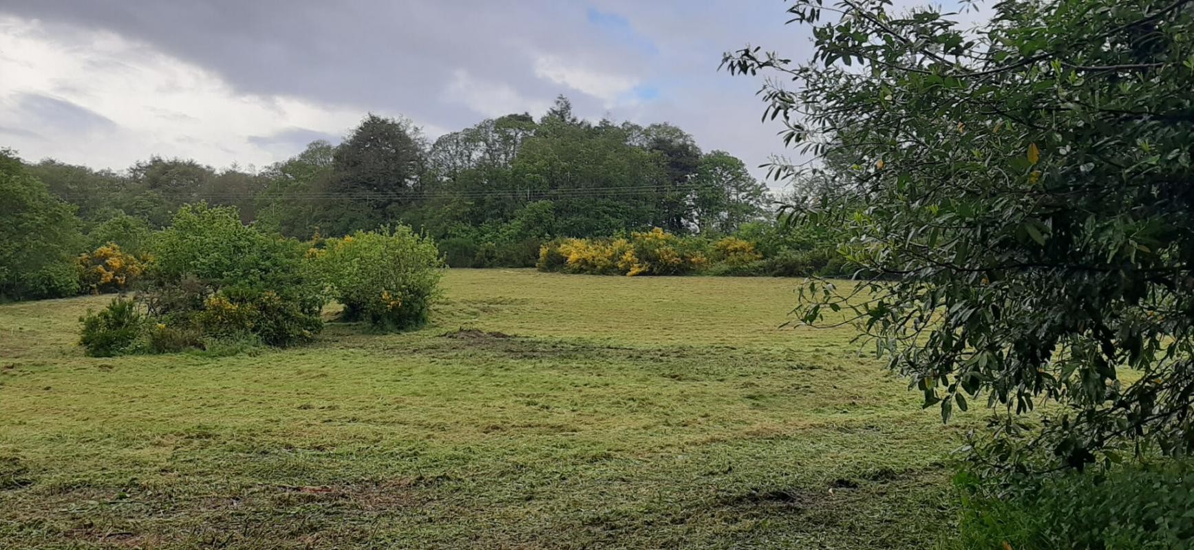 Vente Maison à Guémené-sur-Scorff 18 pièces