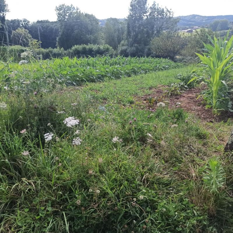 Vente Terrain à Mansac 0 pièce