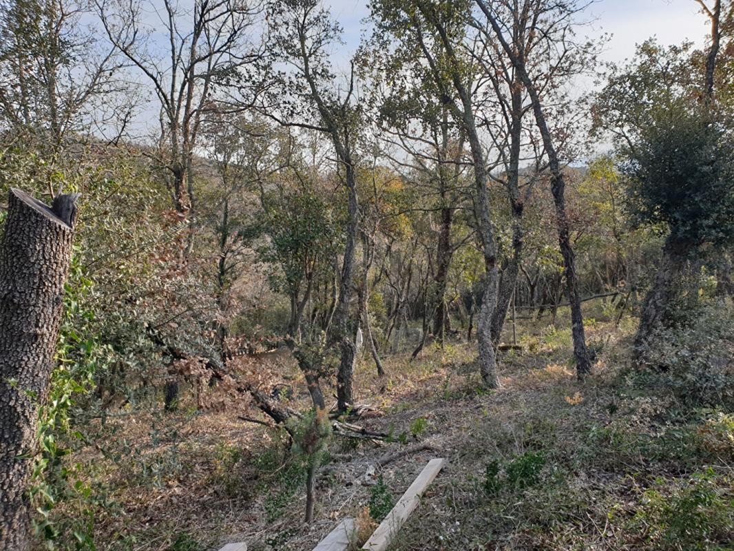 Vente Terrain à Céret 0 pièce