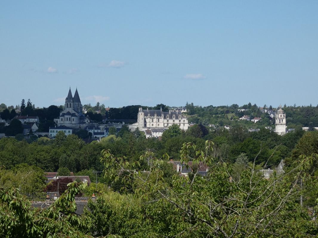 Vente Maison à Beaulieu-lès-Loches 13 pièces