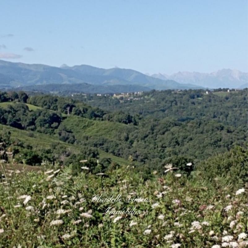 Vente Terrain à Tournay 0 pièce