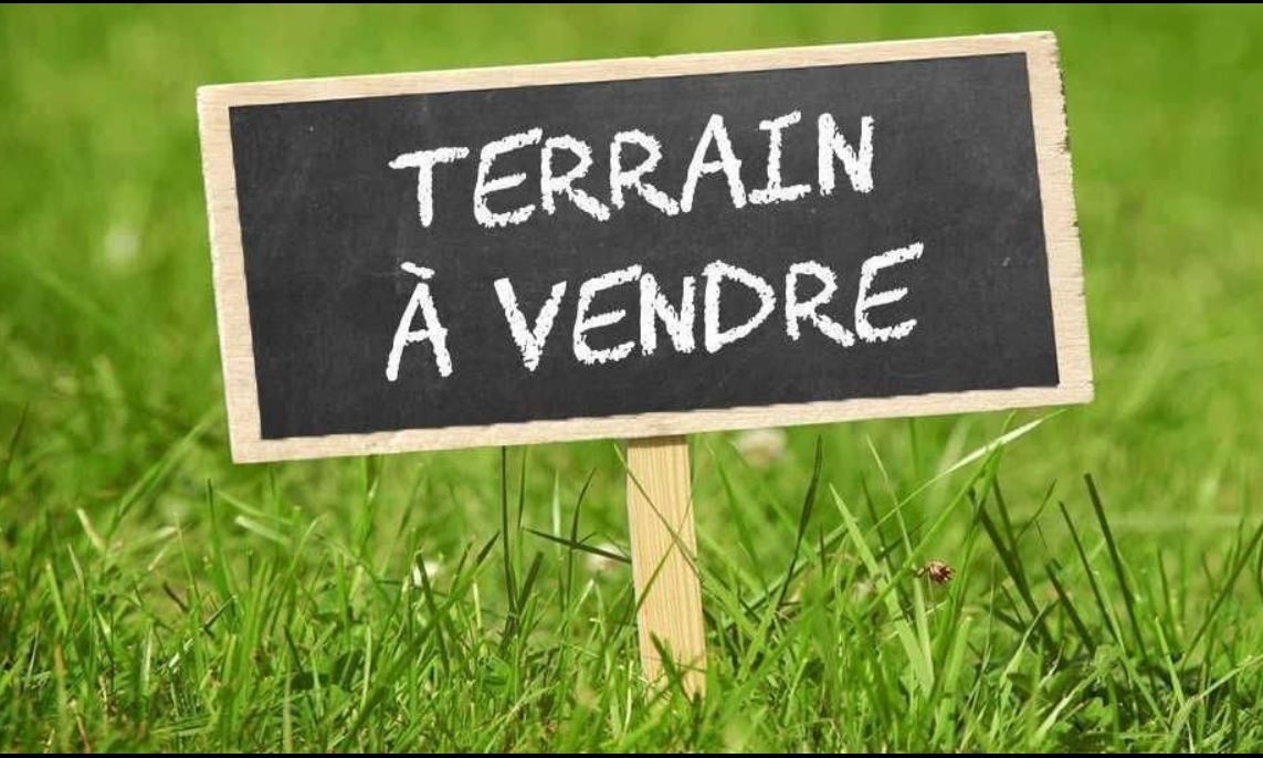 Vente Terrain à Igny 0 pièce