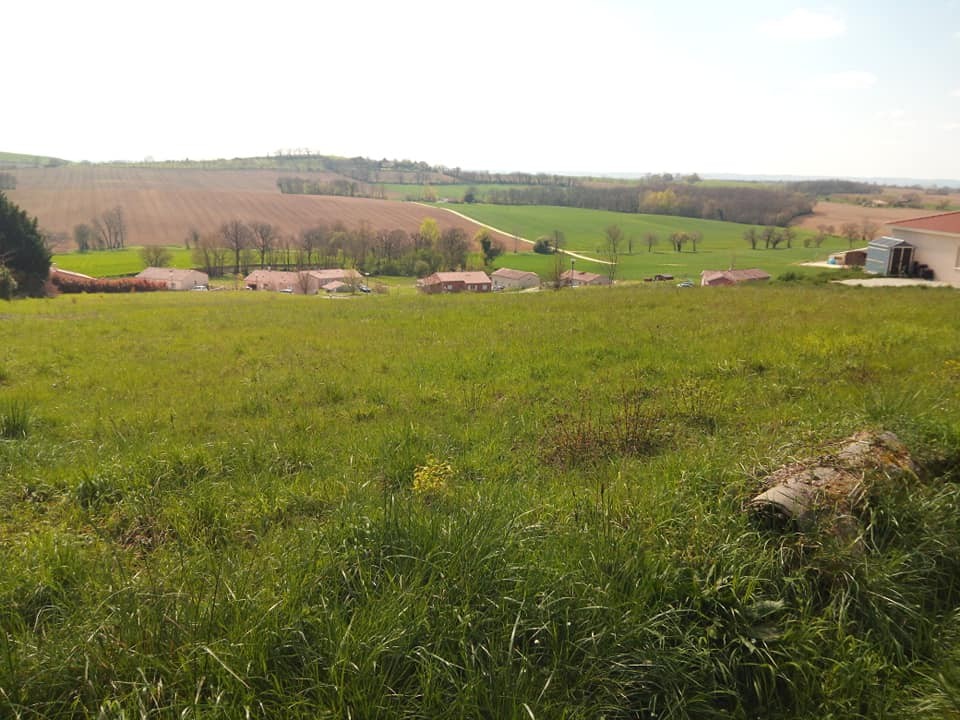 Vente Terrain à Puycasquier 0 pièce