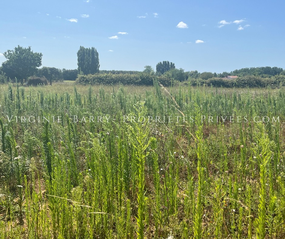 Vente Terrain à Tonnay-Charente 0 pièce