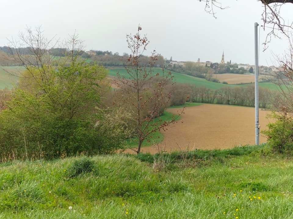 Vente Terrain à Saint-Clar 0 pièce