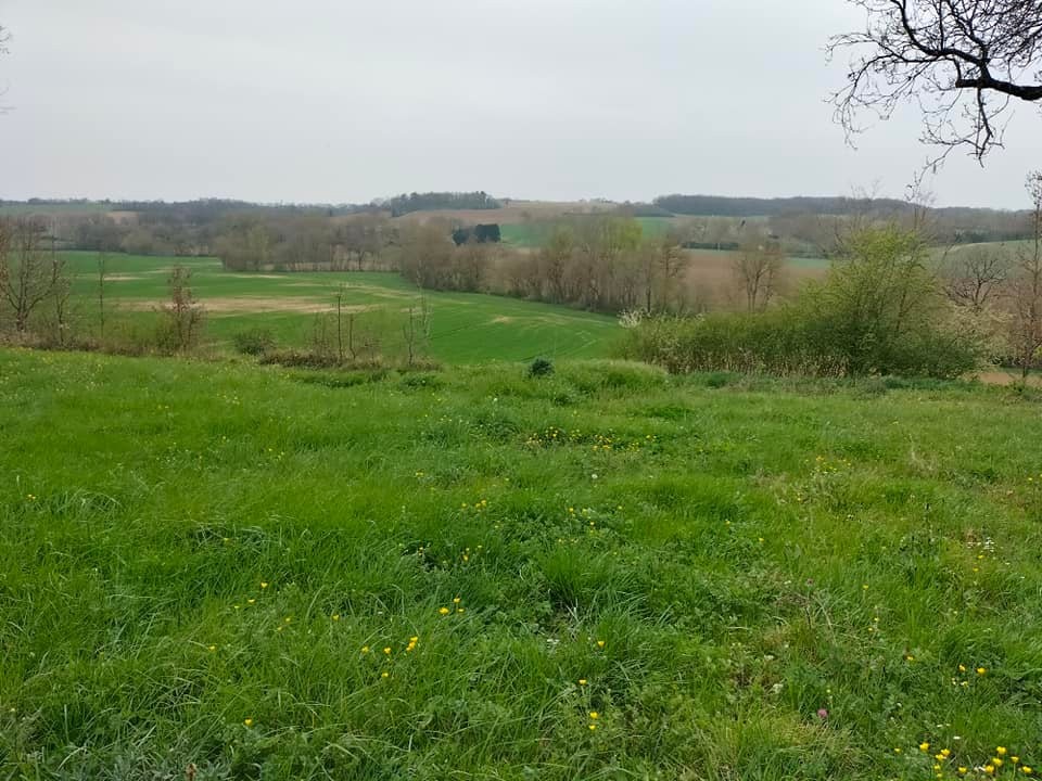 Vente Terrain à Saint-Clar 0 pièce