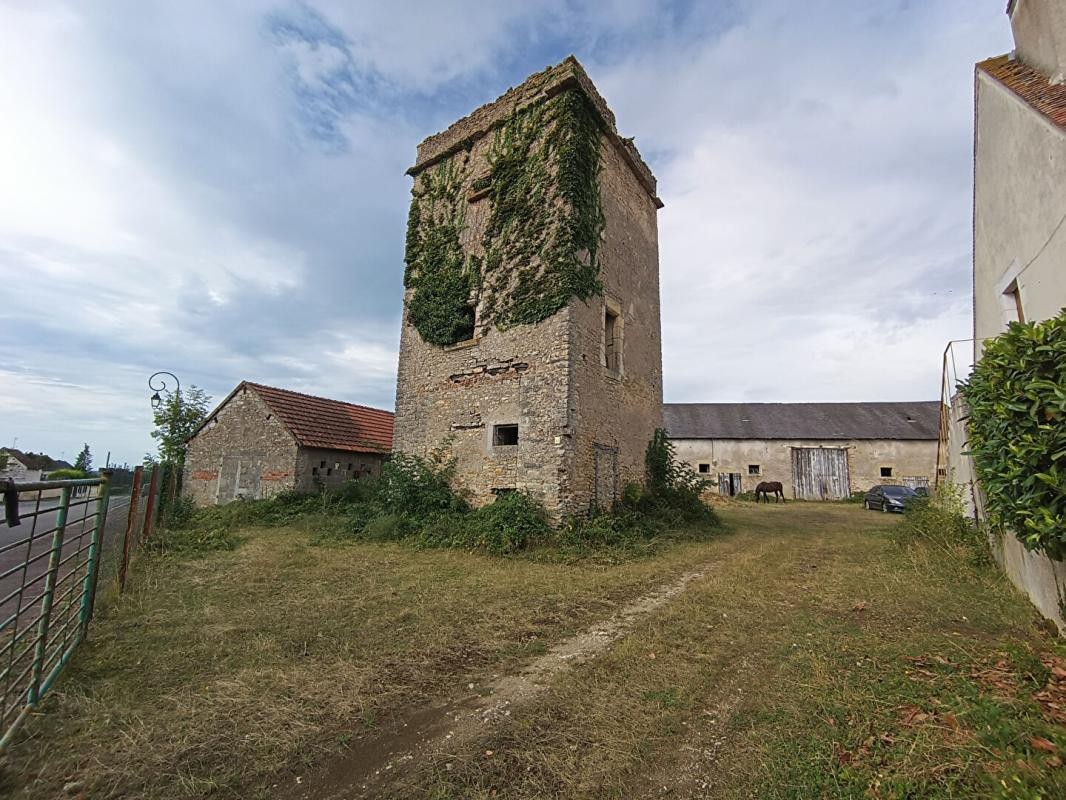 Vente Maison à Saint-Pierre-le-Moûtier 8 pièces