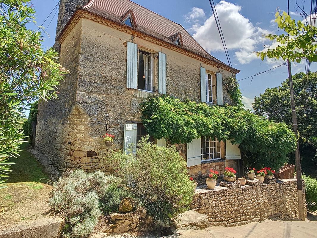 Vente Maison à Saint-Cyprien 18 pièces