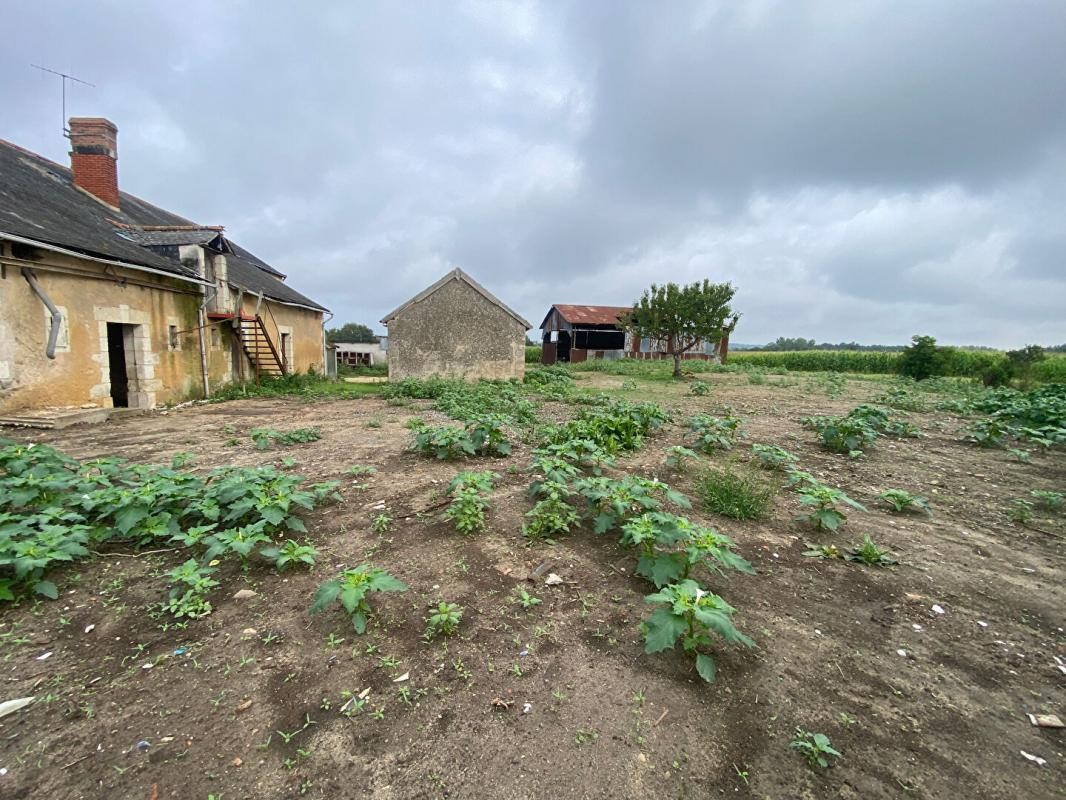 Vente Maison à Baugé-en-Anjou 10 pièces