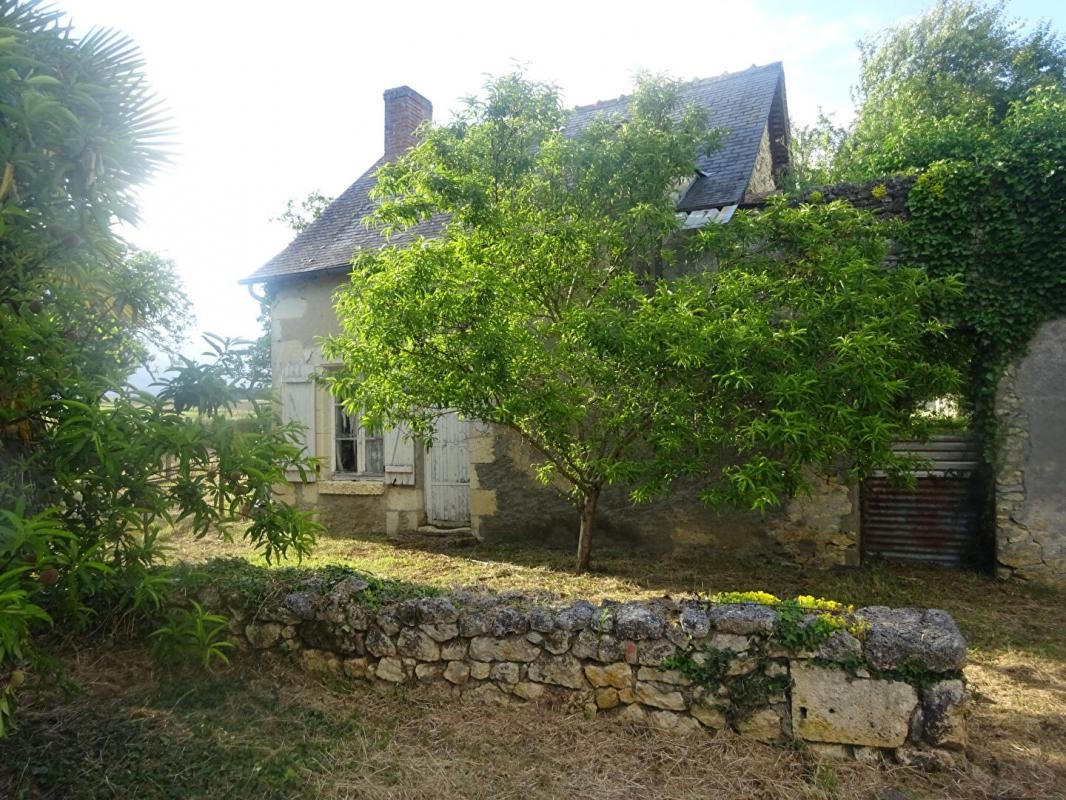 Vente Maison à Tournon-Saint-Martin 1 pièce