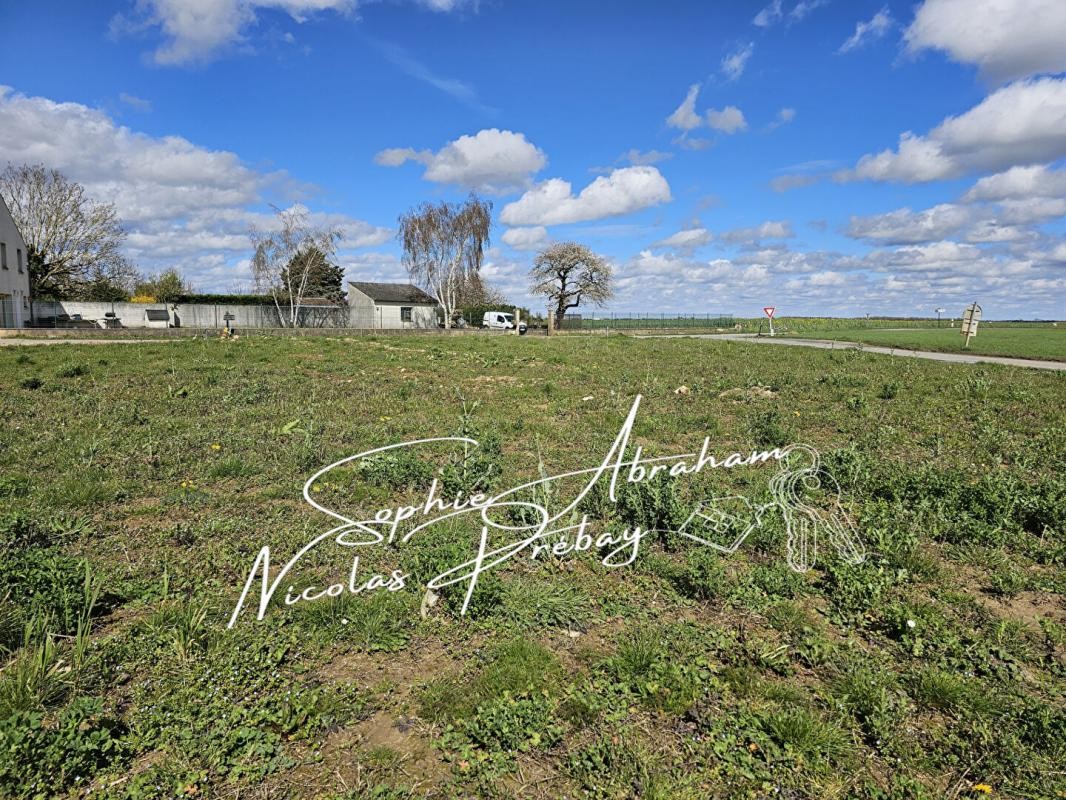 Vente Terrain à Angerville 0 pièce