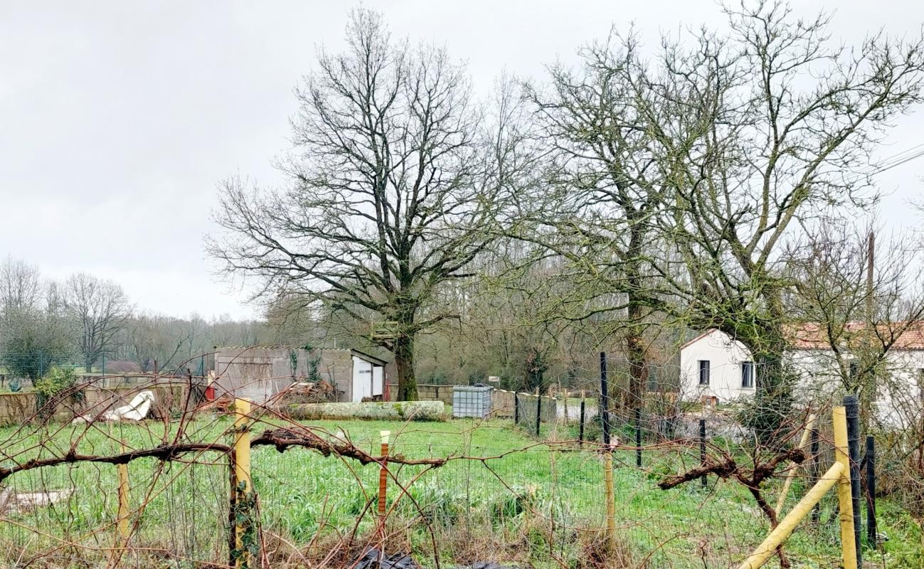 Vente Terrain à Legé 0 pièce