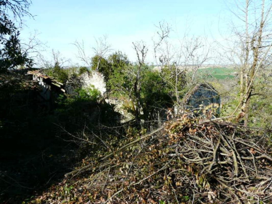 Vente Maison à Lectoure 0 pièce