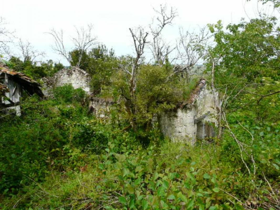 Vente Maison à Lectoure 0 pièce