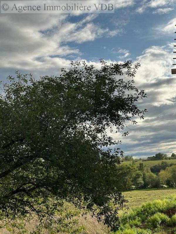 Vente Terrain à Moncel-sur-Seille 0 pièce