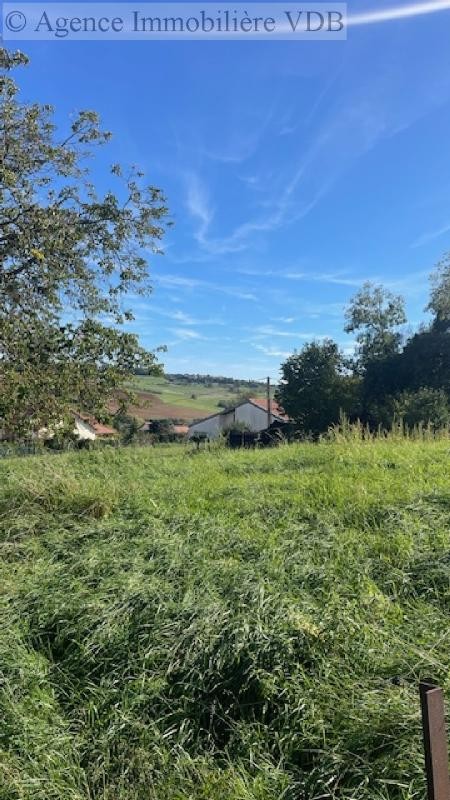 Vente Terrain à Bouxières-aux-Chênes 0 pièce