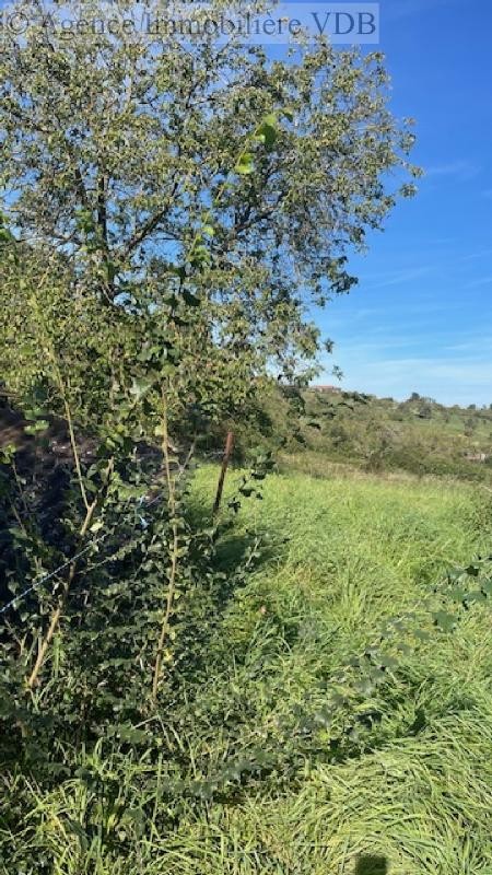 Vente Terrain à Bouxières-aux-Chênes 0 pièce