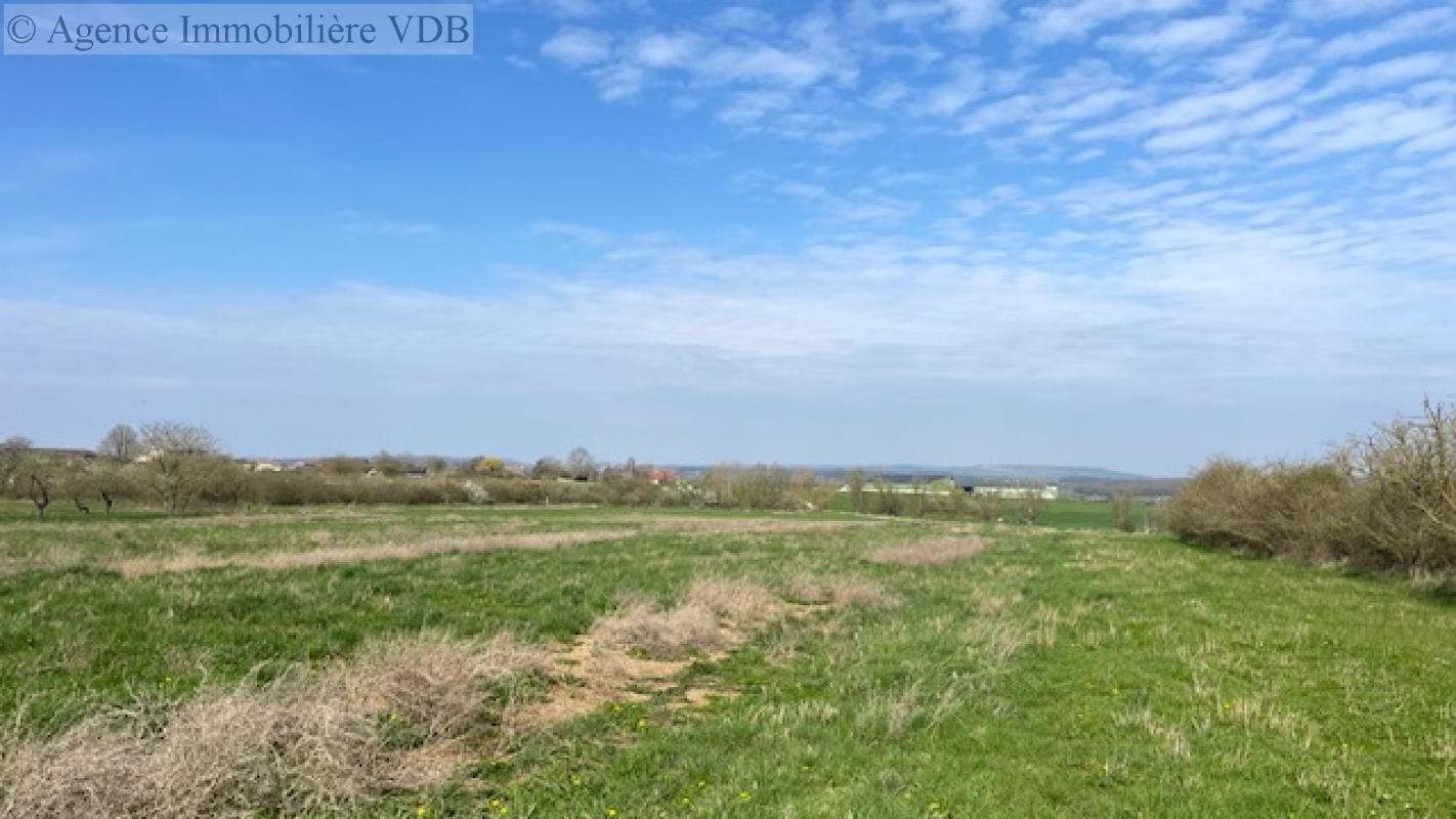 Vente Terrain à Haraucourt 0 pièce