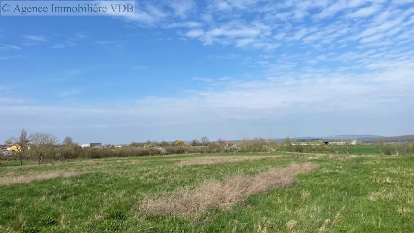 Vente Terrain à Haraucourt 0 pièce