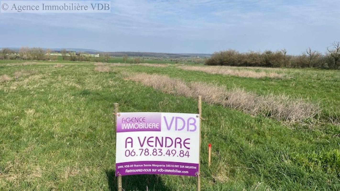 Vente Terrain à Haraucourt 0 pièce