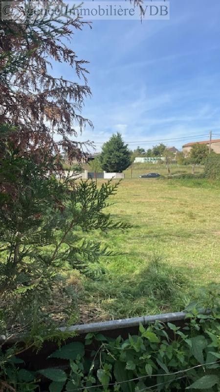 Vente Terrain à Moncel-sur-Seille 0 pièce