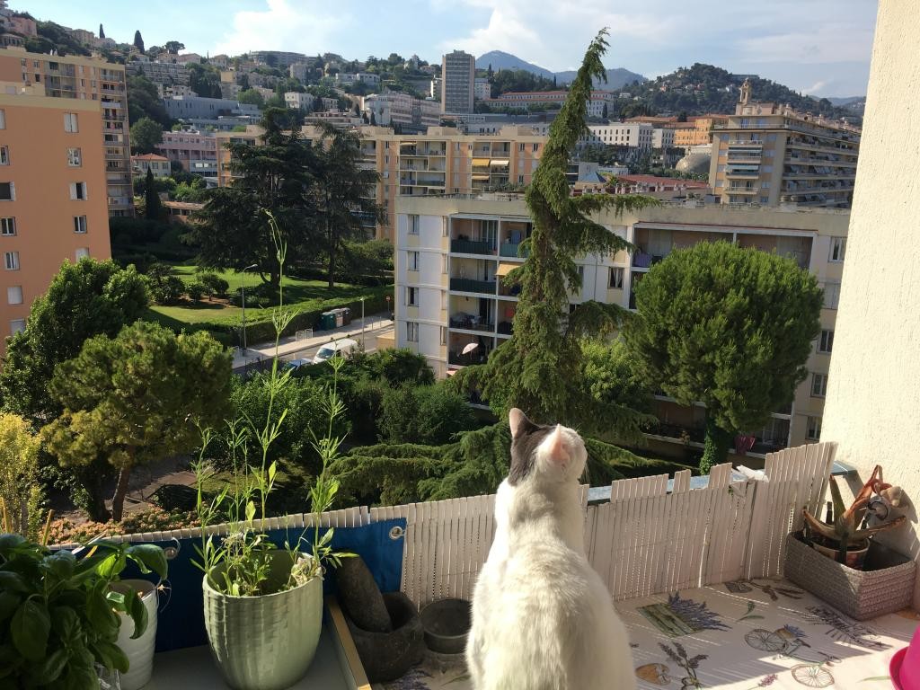 Location Appartement à Nice 1 pièce