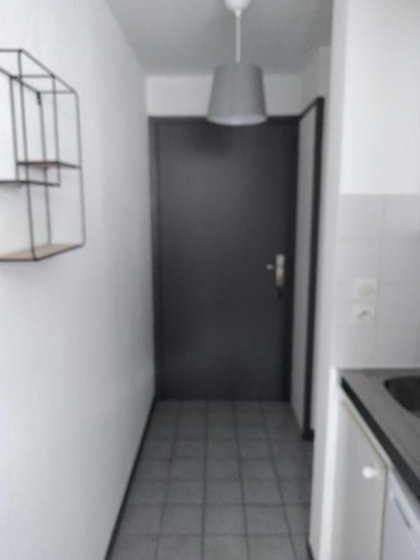 Location Appartement à Grenoble 1 pièce