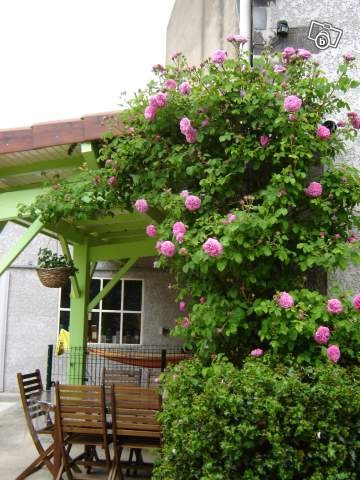 Location Maison à Saint-Bonnet-près-Riom 4 pièces