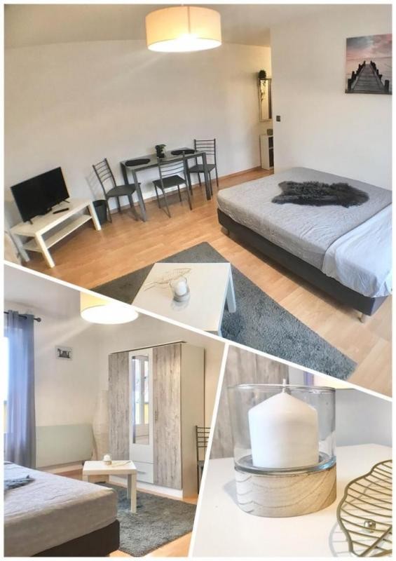 Location Appartement à Mulhouse 1 pièce