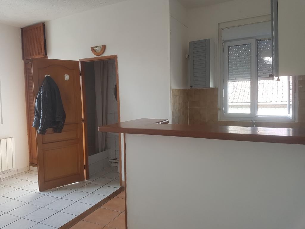 Location Appartement à Maisons-Alfort 1 pièce