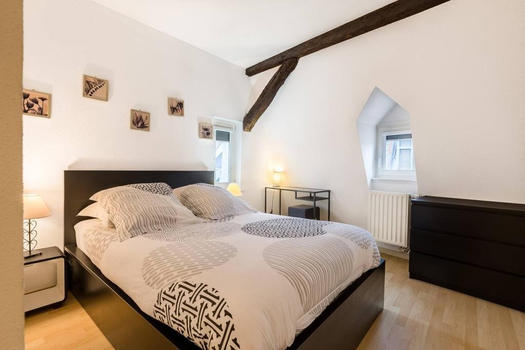 Location Appartement à Colmar 6 pièces