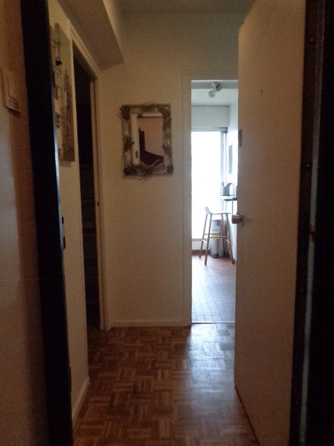 Location Appartement à Paris Vaugirard 15e arrondissement 1 pièce