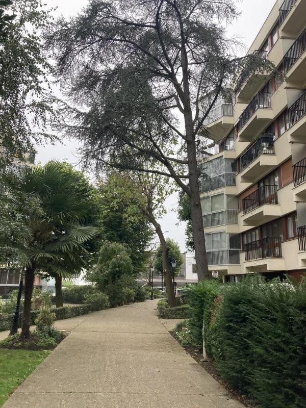 Location Appartement à le Chesnay 1 pièce