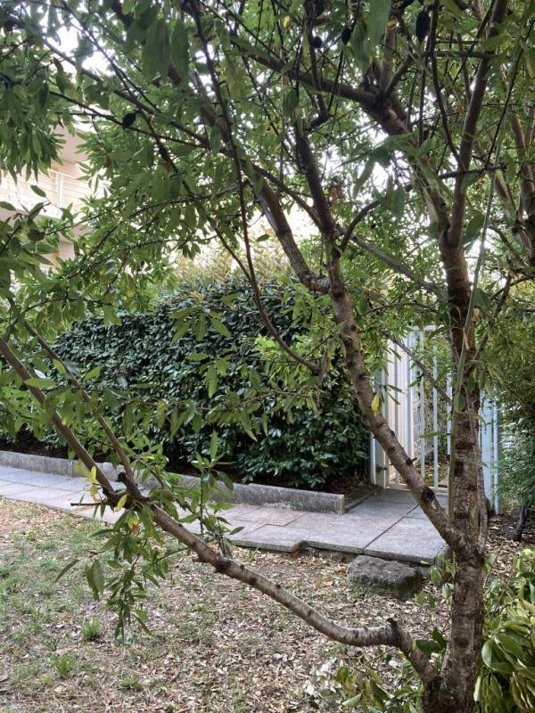 Location Appartement à Montpellier 1 pièce