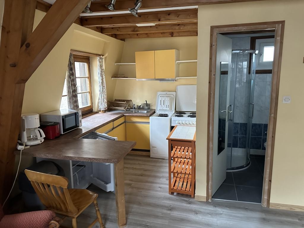 Location Appartement à Strasbourg 1 pièce